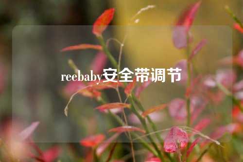 reebaby安全带调节